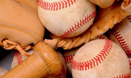 The Top 8 Best Baseball Brands Used in the USA