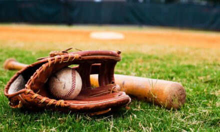 The Top 12 Best Baseball Glove Brands In The USA