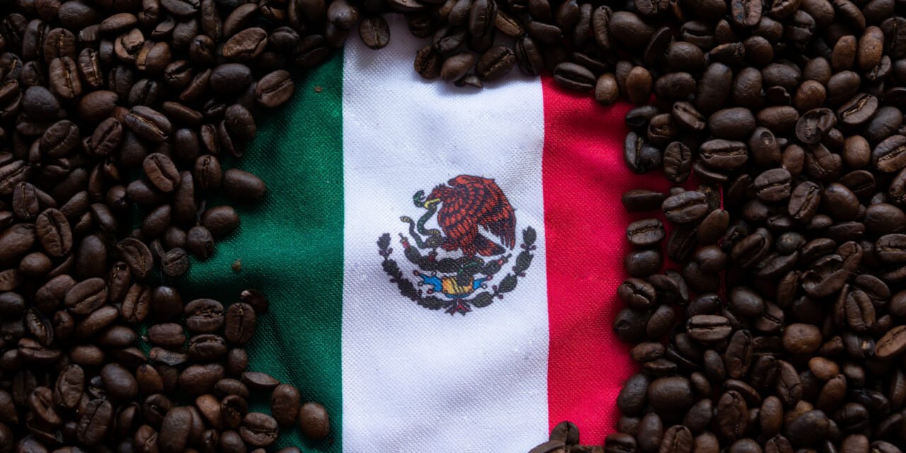 The 15 Best Mexican Coffee Brands Sold In the USA