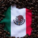 The 15 Best Mexican Coffee Brands Sold In the USA