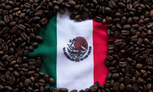 The 15 Best Mexican Coffee Brands Sold In the USA