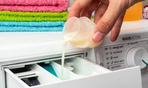 Top 15 Best Laundry Detergent Brands Tested and Reviewed